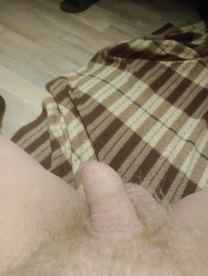 IMG_20260212_193010328_MFNR.jpg - ROBWEN86