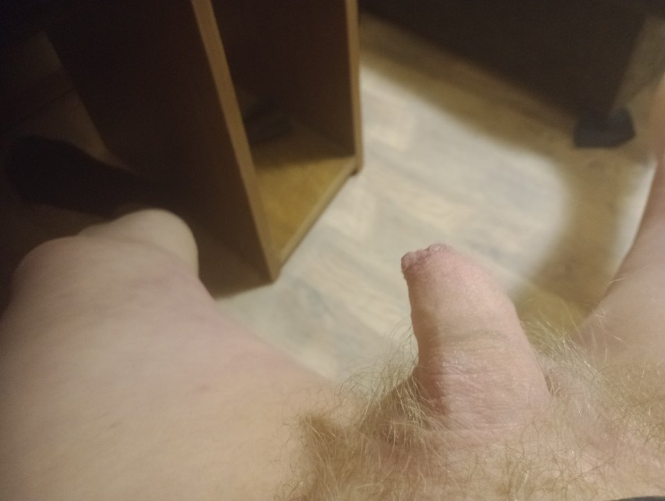 IMG_20260212_204939921_MFNR.jpg - ROBWEN86