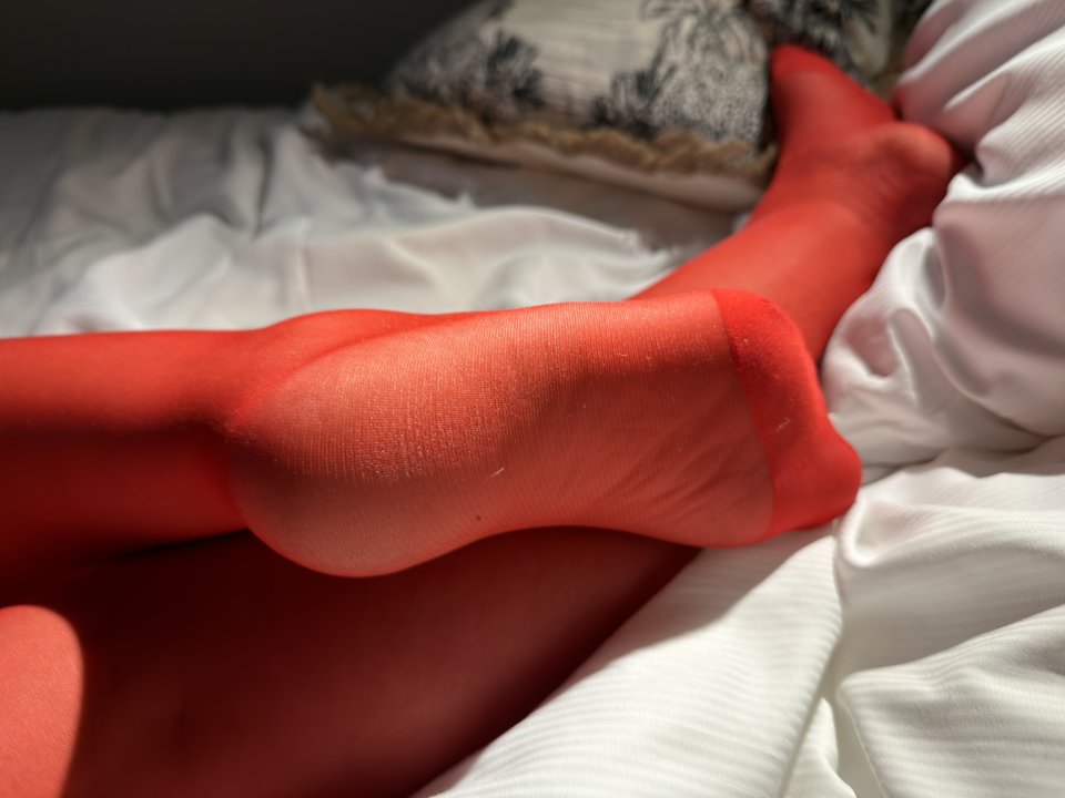 IMG_1299.jpeg - Parapatrz