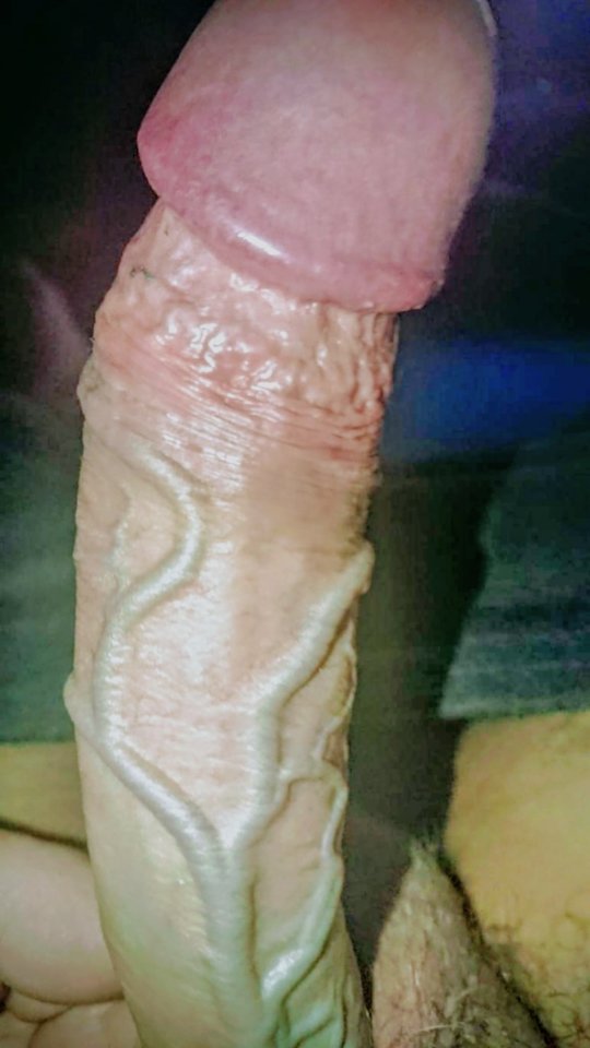 12060.jpg - Falcon96