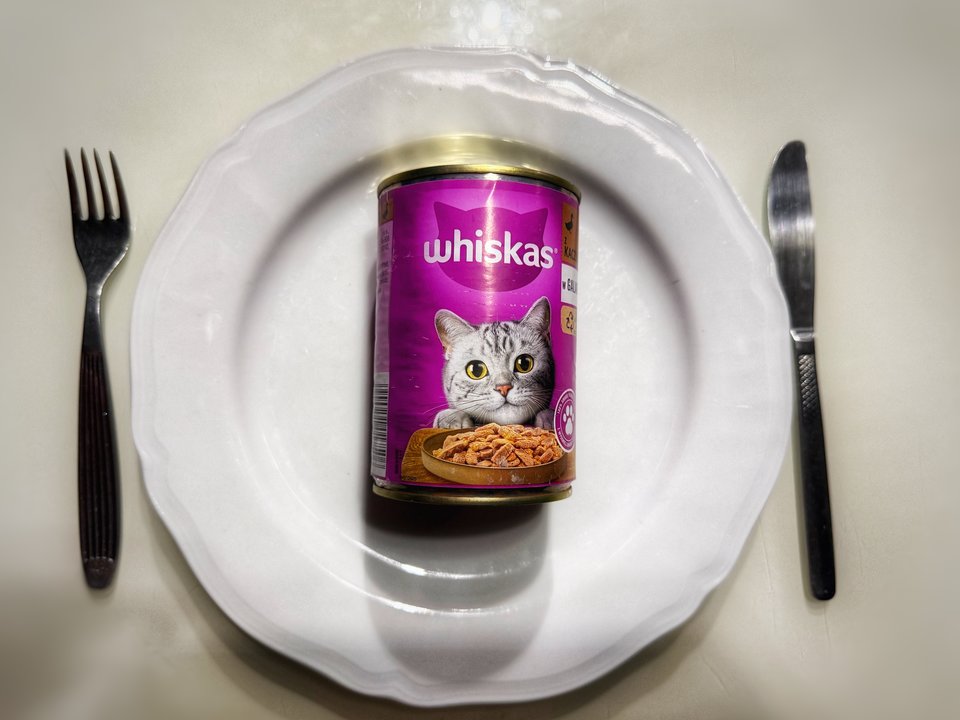 Żarcie z kotem - serialowapara19782