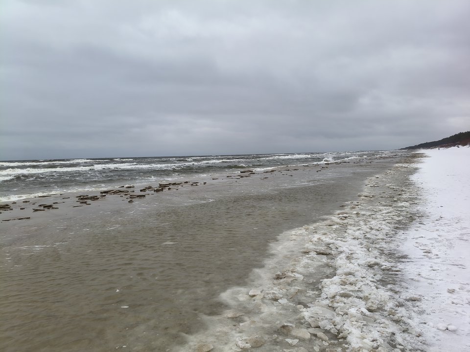 1000002433.jpg - Mature44youngbull