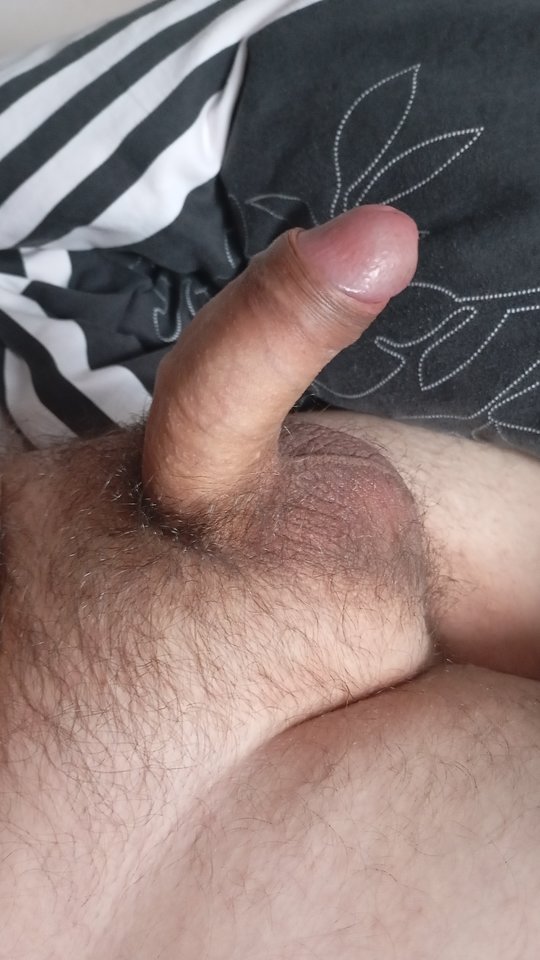 IMG_20260212_103023_365.jpg - Moje_17cm