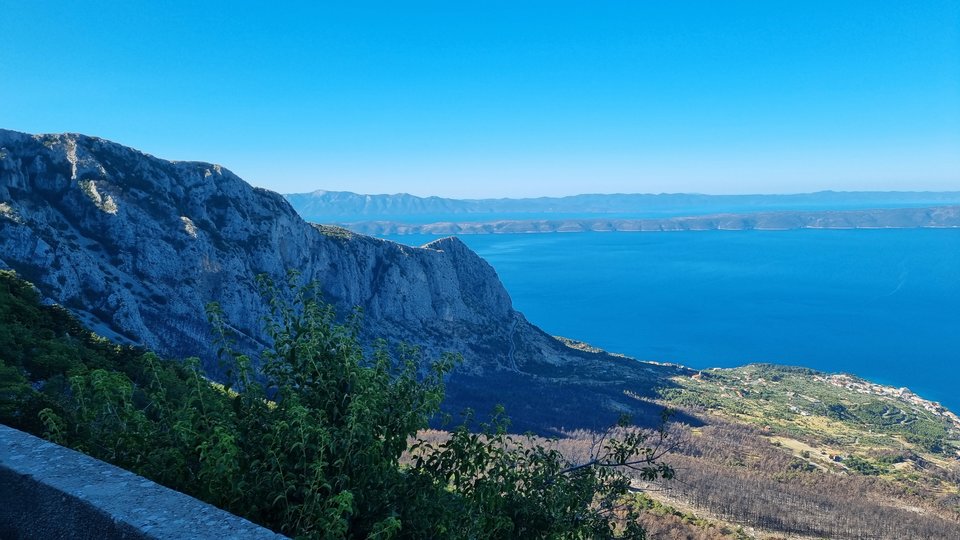 20250629_081415.jpg - enrikko