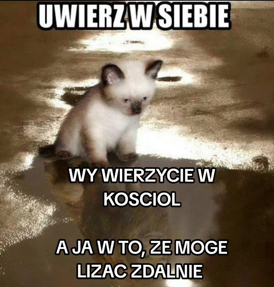 Screenshot_2026-02-13-21-37-26-385_com.miui.videoplayer-edit.jpg - DolcePragmaLubieWargi