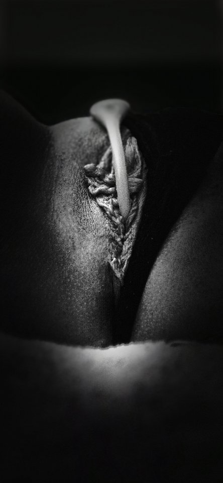 Walentynkowe zabawy 😘 - Tom_Jerry83