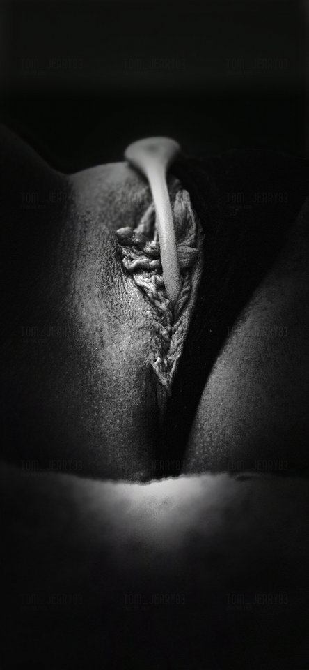 Walentynkowe zabawy 😘 - Tom_Jerry83