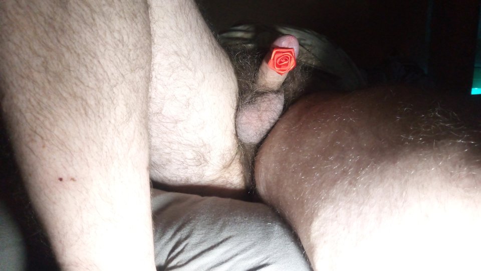 IMG_20240801_201049201.jpg - raptor22