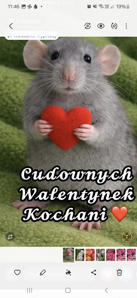 1000063798.jpg - Kolekcjonerka_Serc