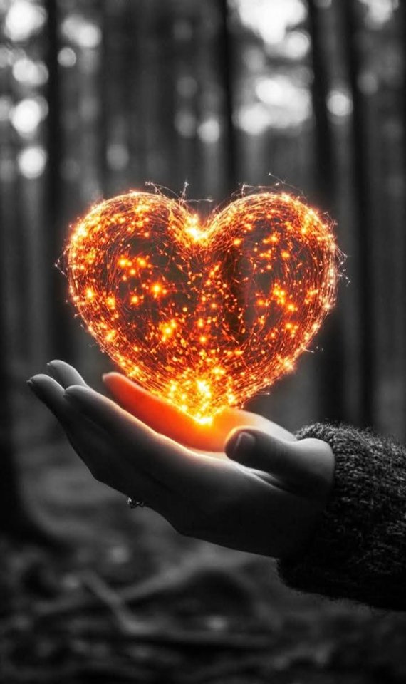 1000046861.jpg - Pronarrki