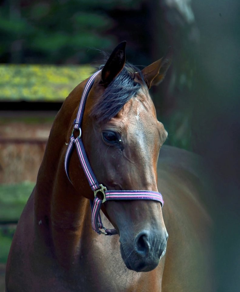 1000029756.jpg - TakijaCT