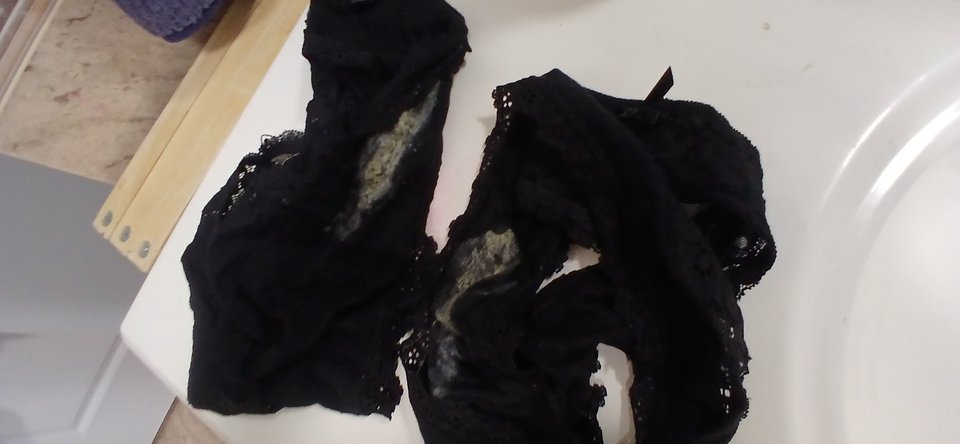 1000011538.jpg - macznos24