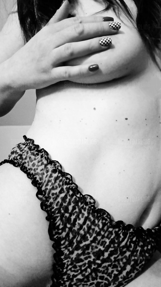 Kotek lubi pokazać pazurki🐆❤️💋 - BuddyDarling