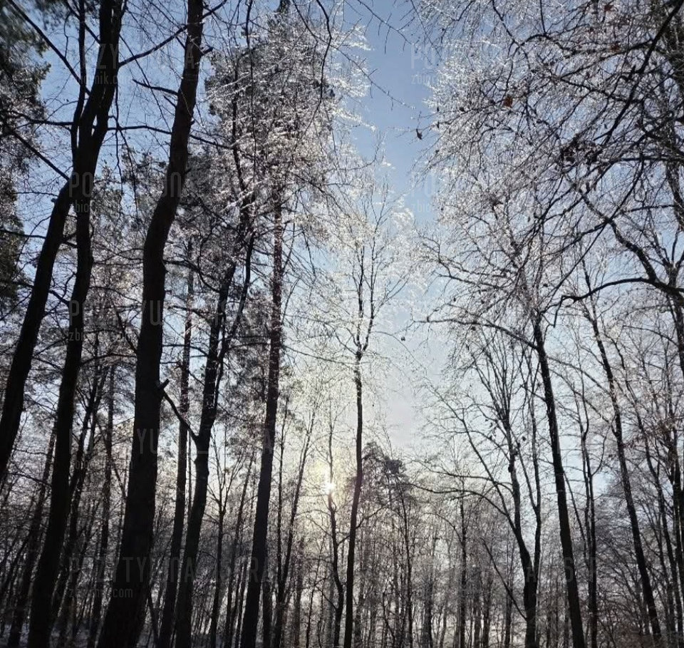 Screenshot_20260201_194028_Facebook.jpg - Pozytywna_Iskra