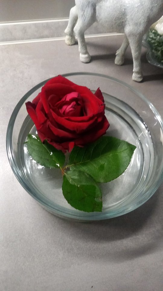 799fd82f-b240-4c76-8d0c-797b943d56f4.jpeg - AnnLeo