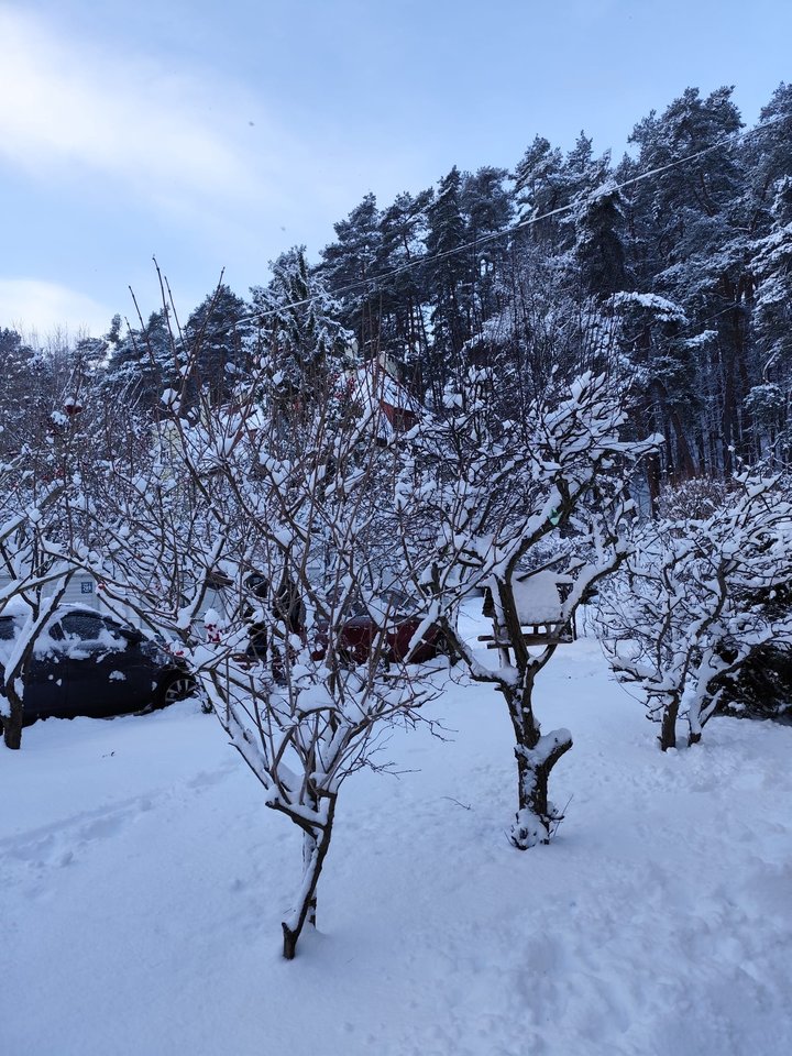 b0cf901a-83e4-4099-b49c-cc5b6dea54a6.jpeg - AnnLeo