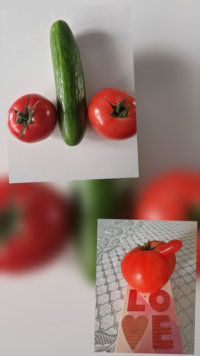 rozmowa_kontrolowana