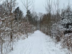 Brrr... Ale zzzimno ⛄