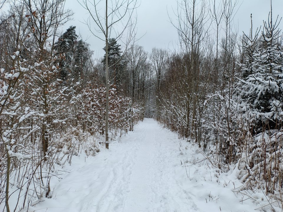 Brrr... Ale zzzimno ⛄ - NiesmialaSamotna98