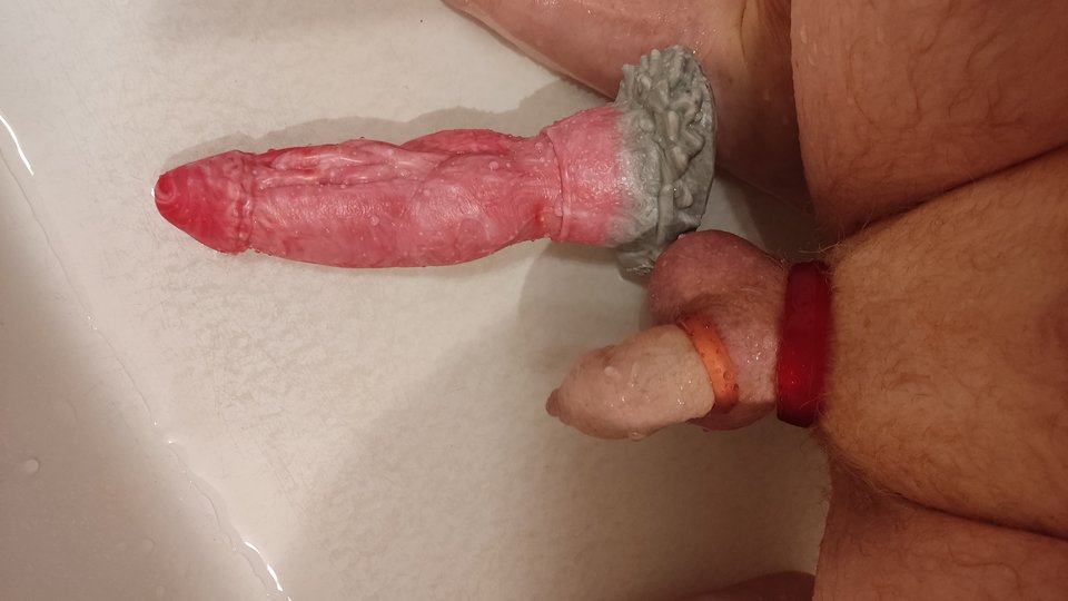 1000070200.jpg - tygrysekl