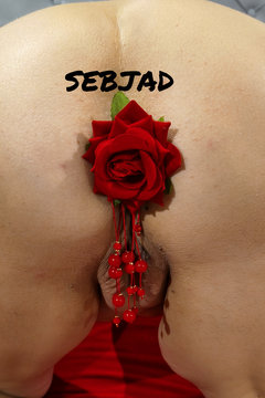 ♥️♥️14.02.26♥️♥️