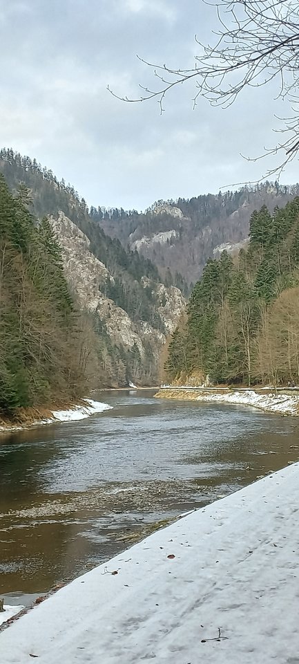 20260205_125433.jpg - 1mikry