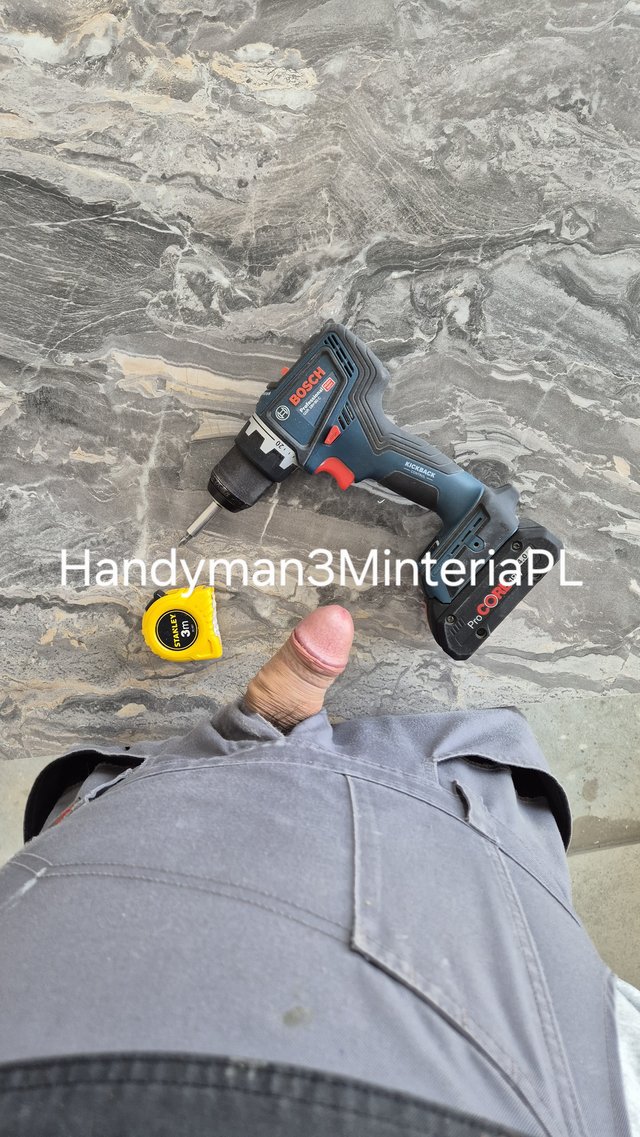 Handyman3Minteriapl