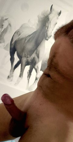 A w weekend porumakowane...🐎😎🔥