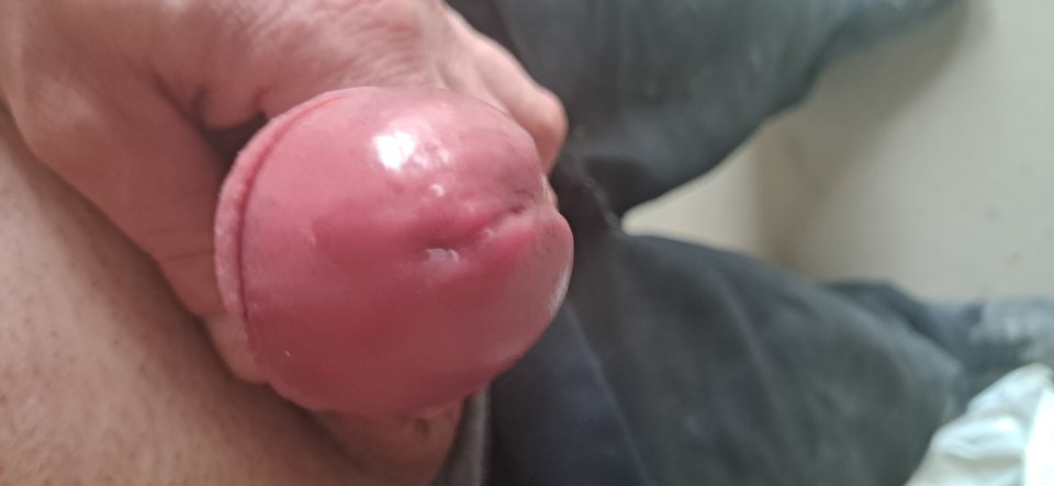 1000012394.jpg - Netter1981