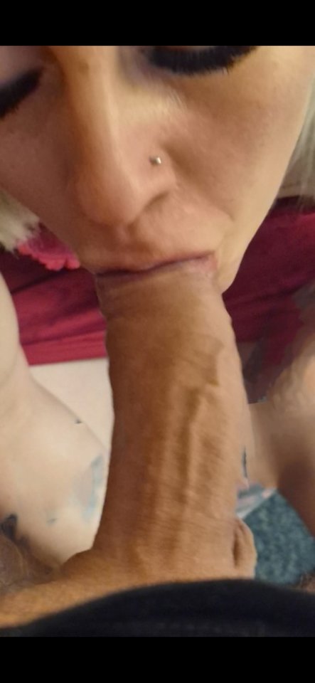 4754.jpg - tomtom373737