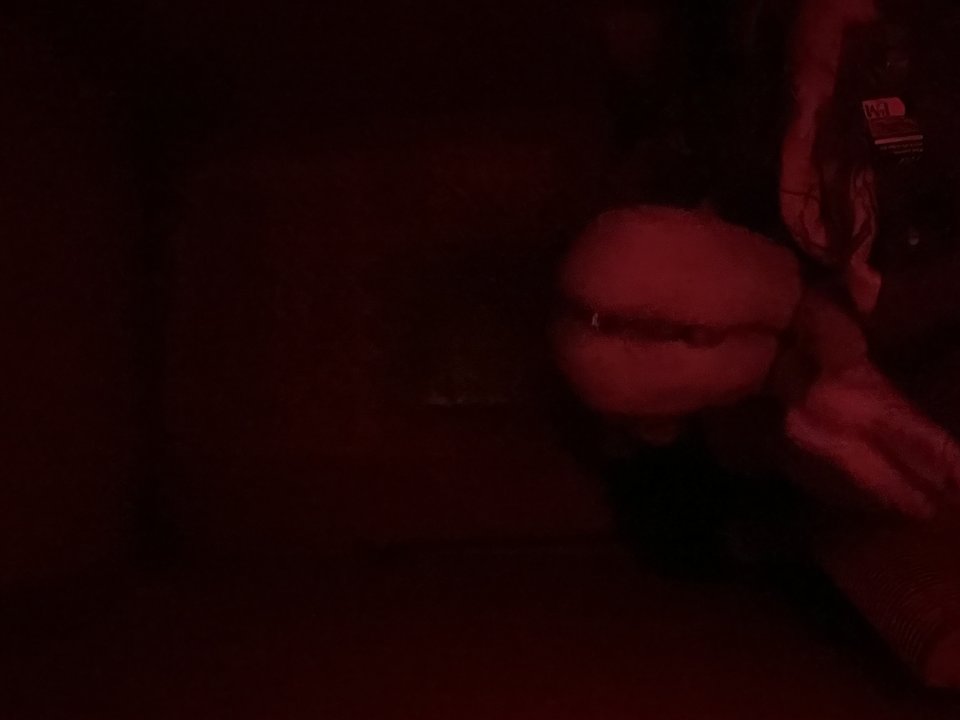 IMG_8494.jpeg - Misaqku