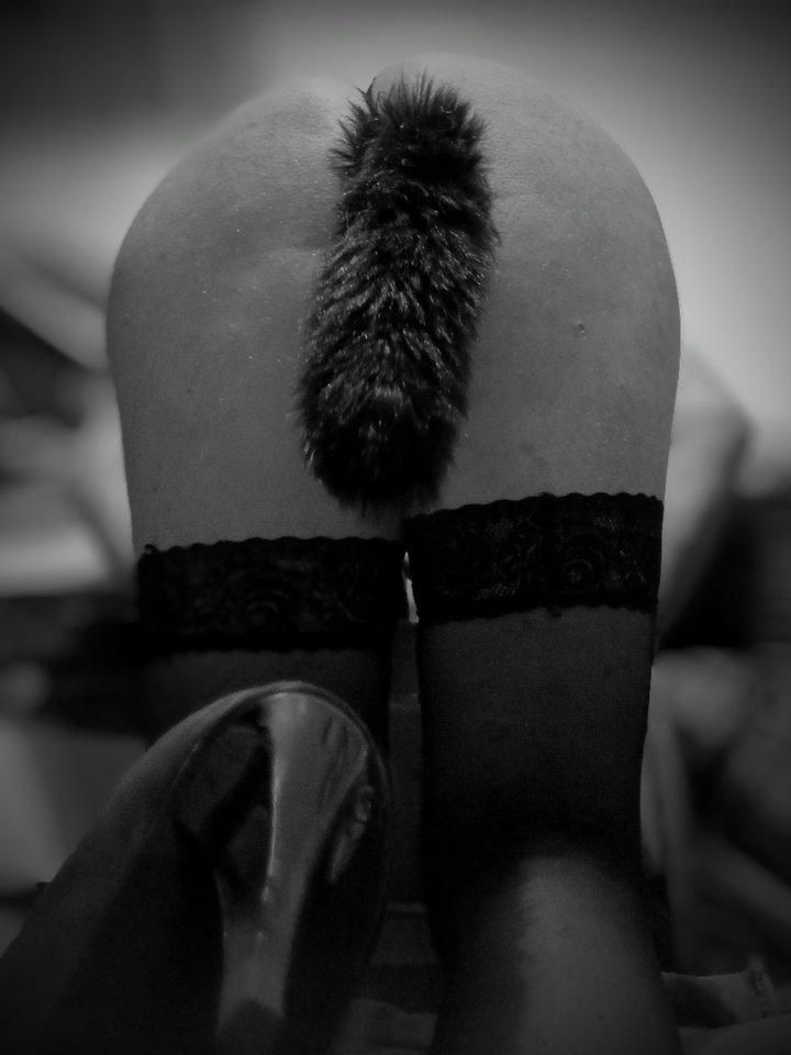 1000023678.jpg - KaleighDQ