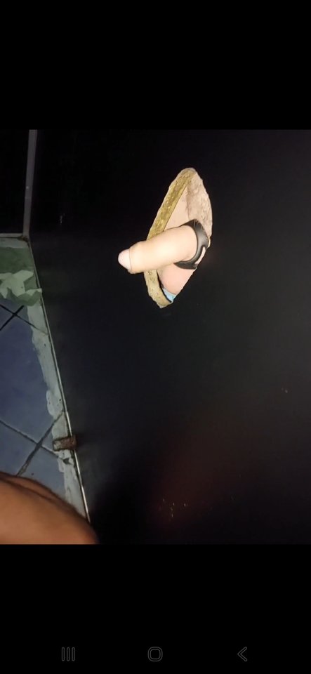 1000024229.jpg - PASYWPOZEK34