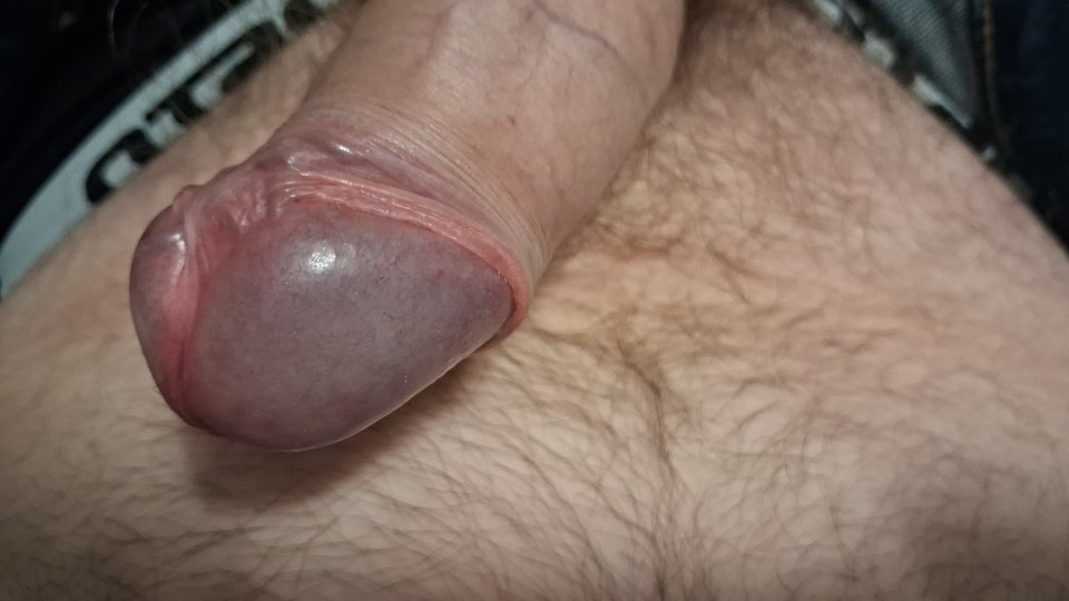 IMG-20251209-WA0007.jpeg - Pawelek198212