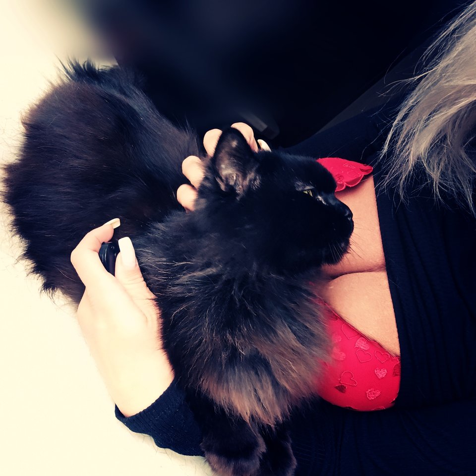 🐾🐾🐾 - _Pure__Evil_