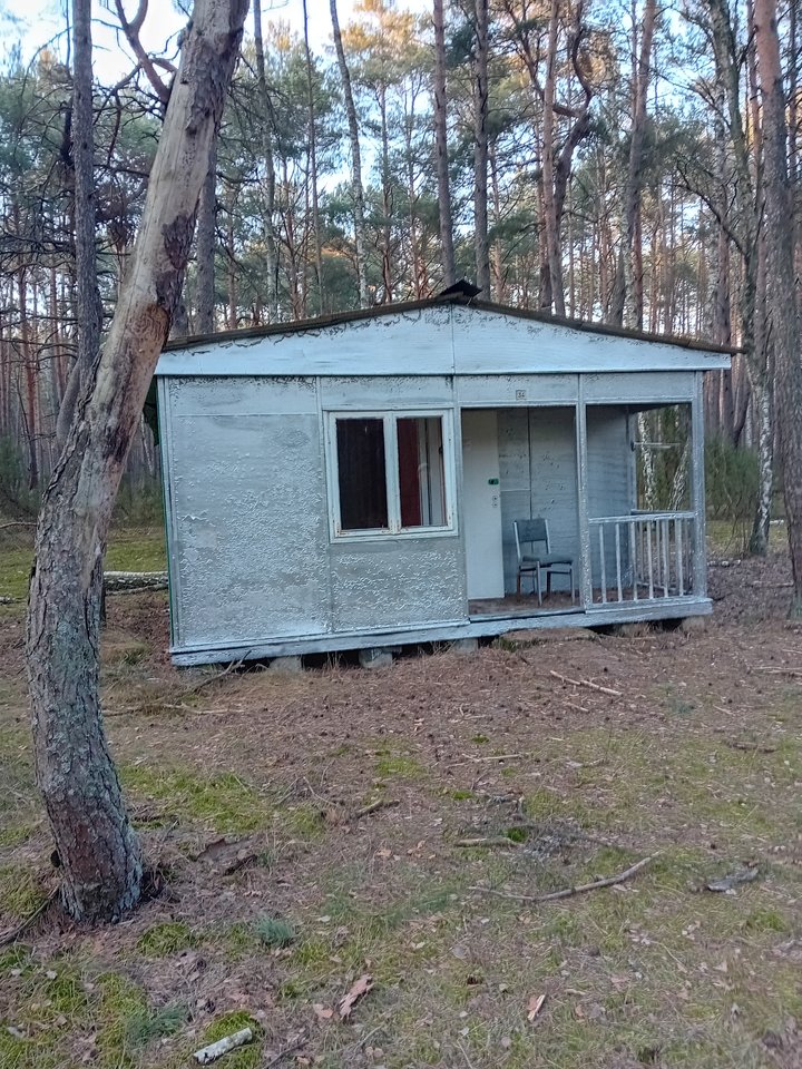 Zapomniany domek letniskowy po środku lasu - wiemas