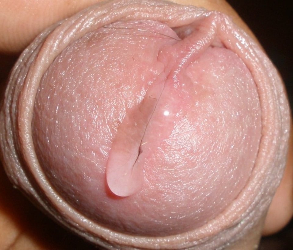 1000015729.jpg - boy89boy89