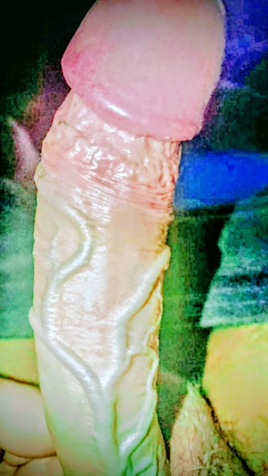 12293.jpg - Falcon96