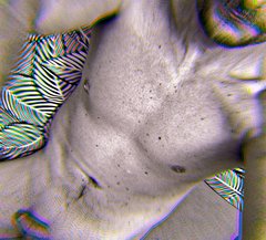 IMG_20260218_041904.jpg
