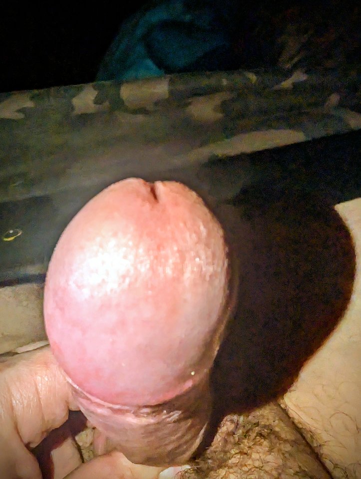 12360.jpg - Falcon96