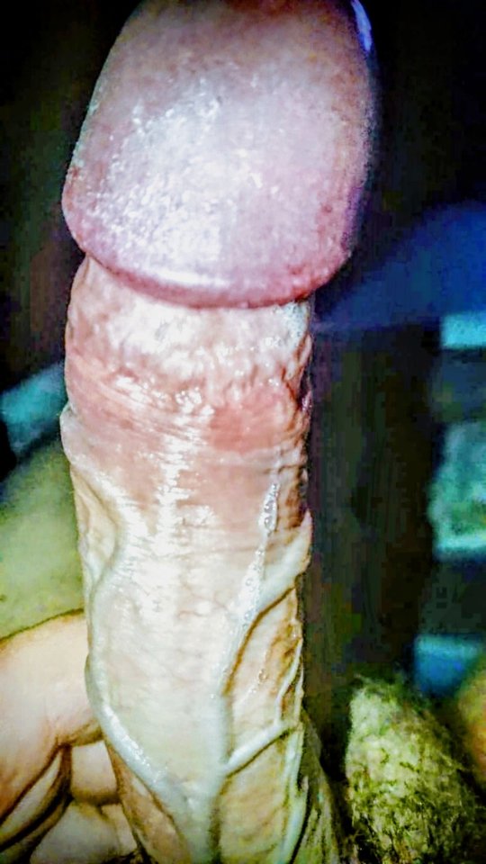 12367.jpg - Falcon96