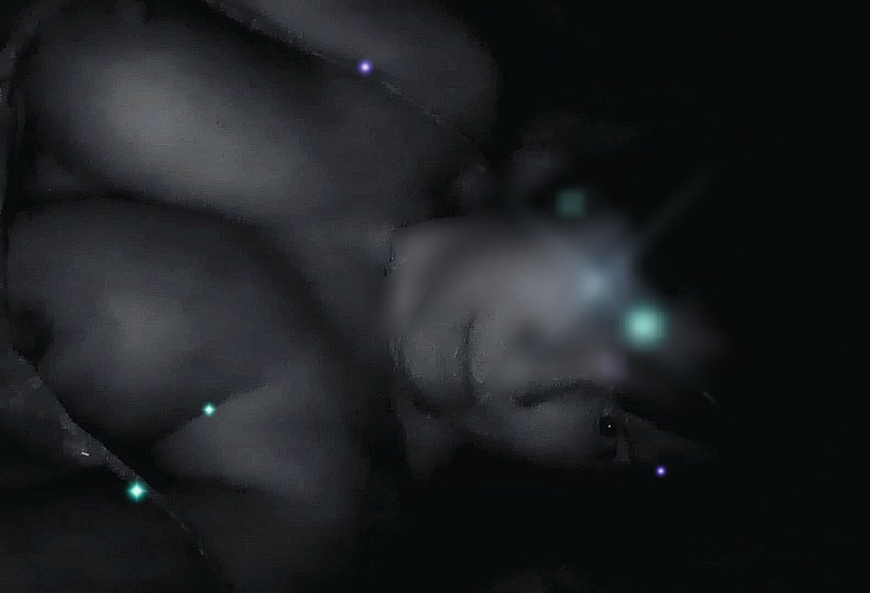 1000022927.jpg - SzalencyEK