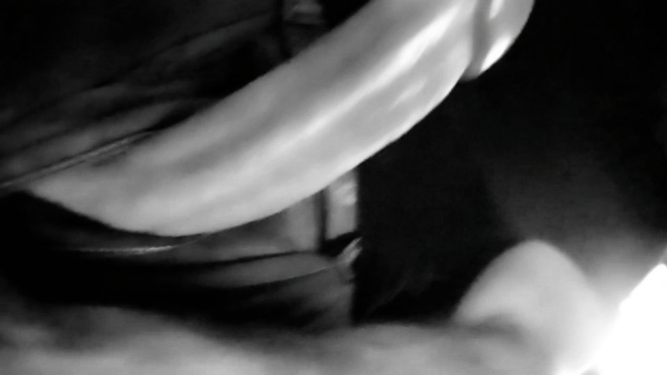 1000025880.jpg - Vidmo89