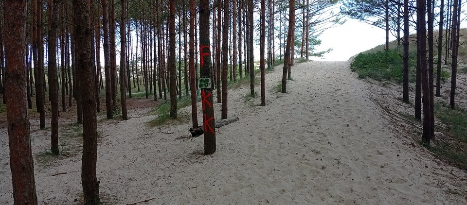 2025-08-13 (10).jpg - Hhgapss