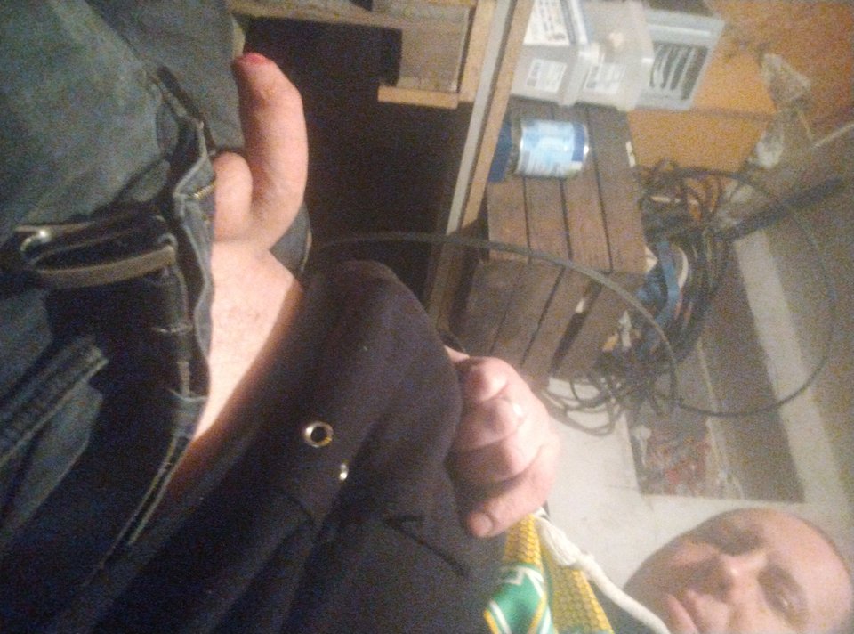 IMG_20260219_174757304.jpg - Pinguary2345