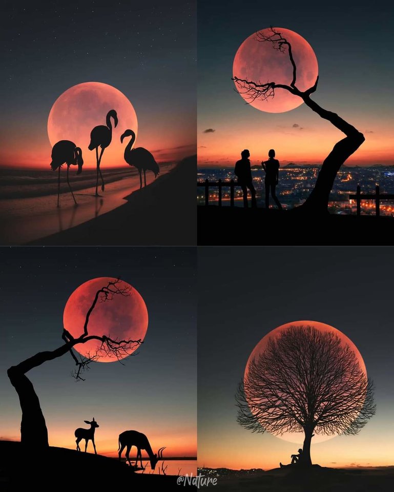 9cac3d1d-4b90-4c70-b153-a0689f2233c9-1_all_532.jpg - Onwro76