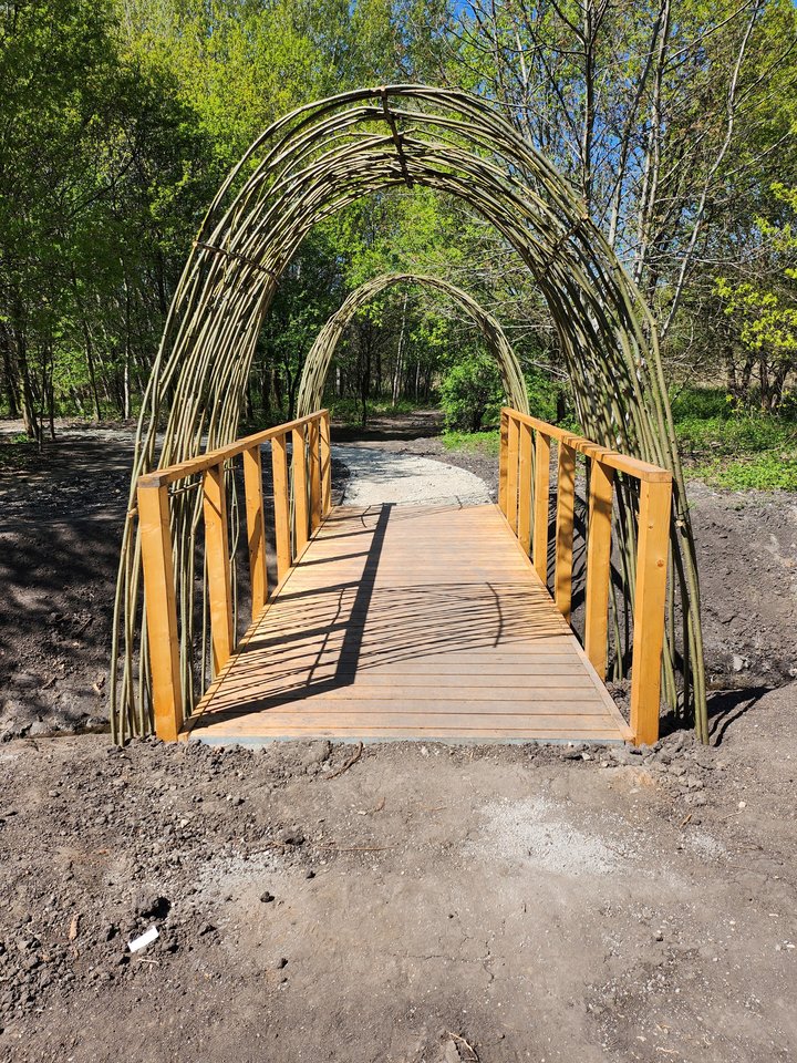 Aleja wiosny - Onwro76