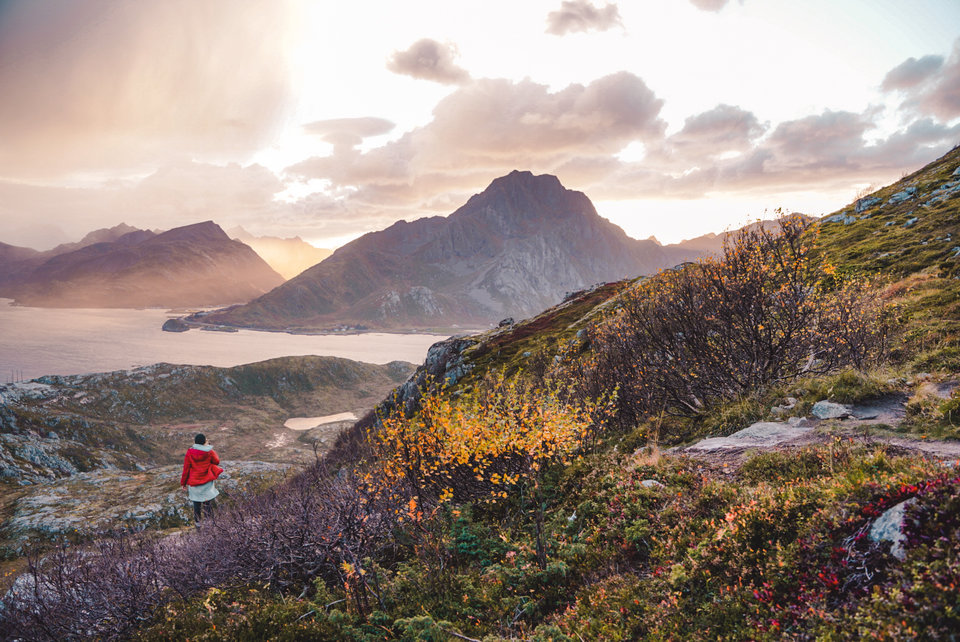 pict211004_1736150000.jpeg - Sliter11