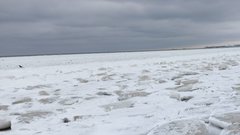 Sopockie pole lodowe.