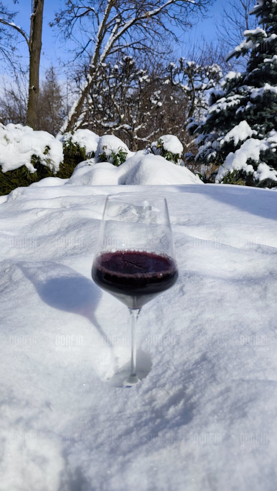 1000012209.jpg - DonFin